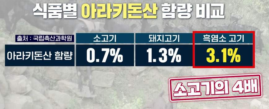 흑염소 효능