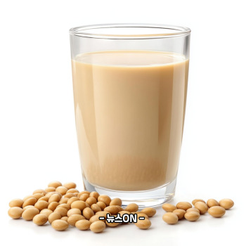 병아리콩 두유 만드는 법