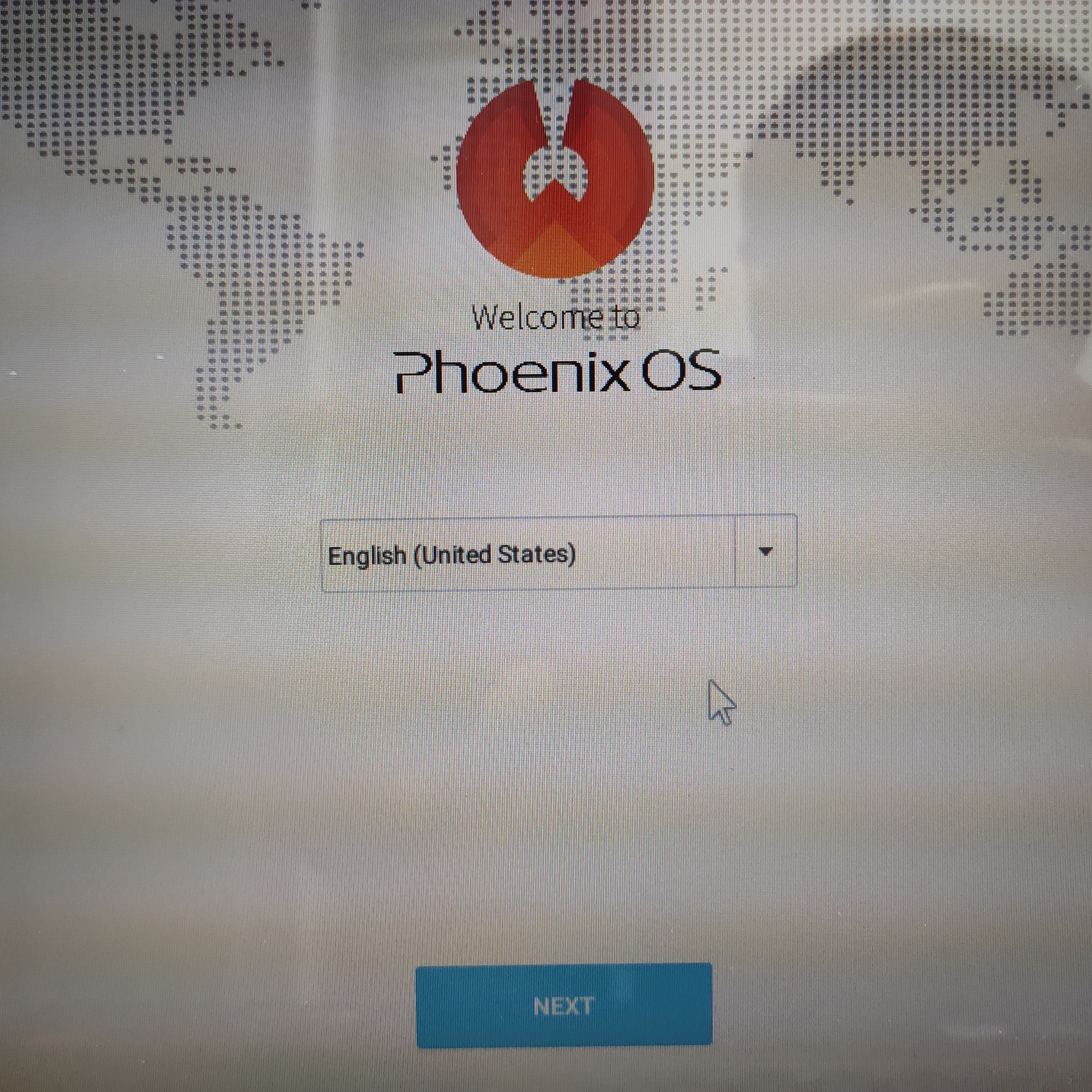 피닉스 시작화면