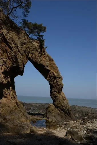 승봉도 배시간표 배편 요금 배편 예약_15