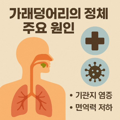 가래덩어리 주요원인