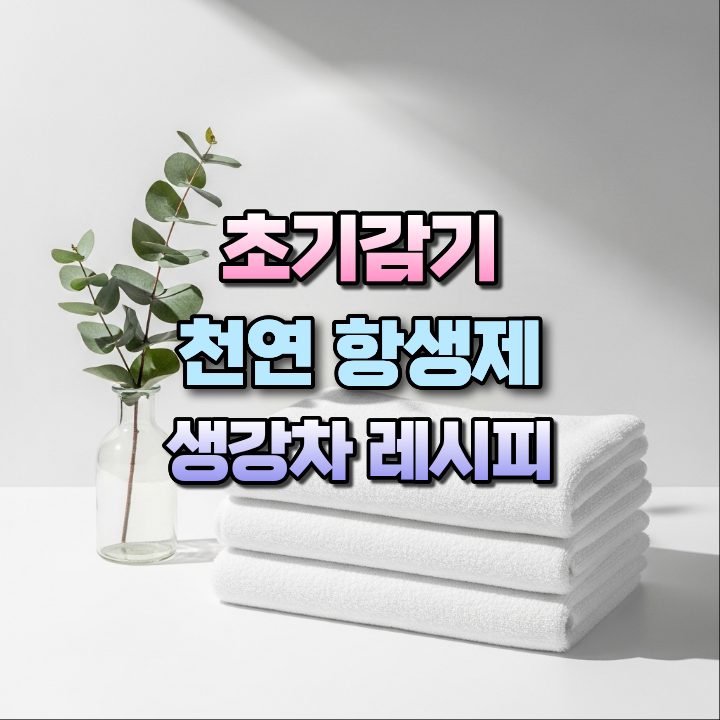 초기감기천연항생제생강차레시피