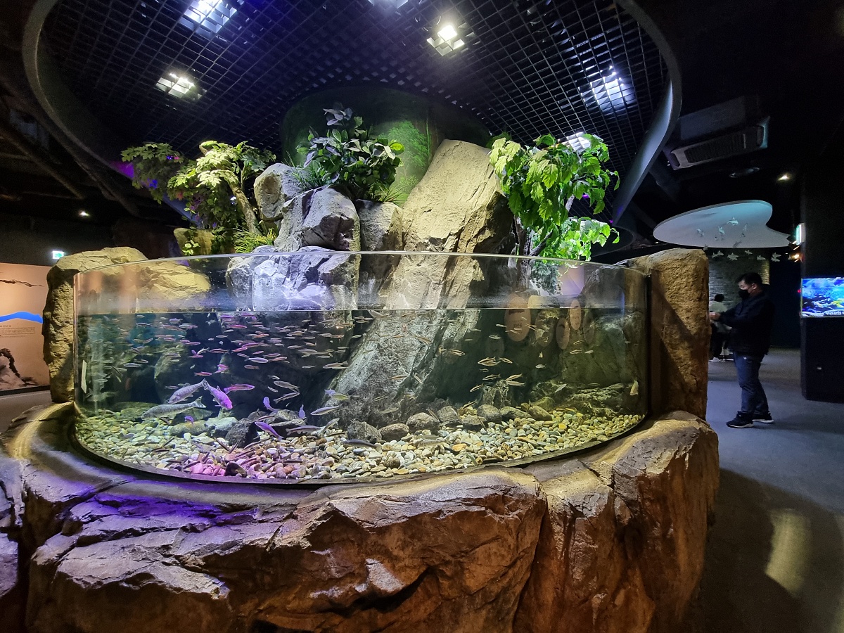 경기도 광주 곤지암 화담숲 단풍시즌, 가을 풍경 퍼레이드와 주변 맛집