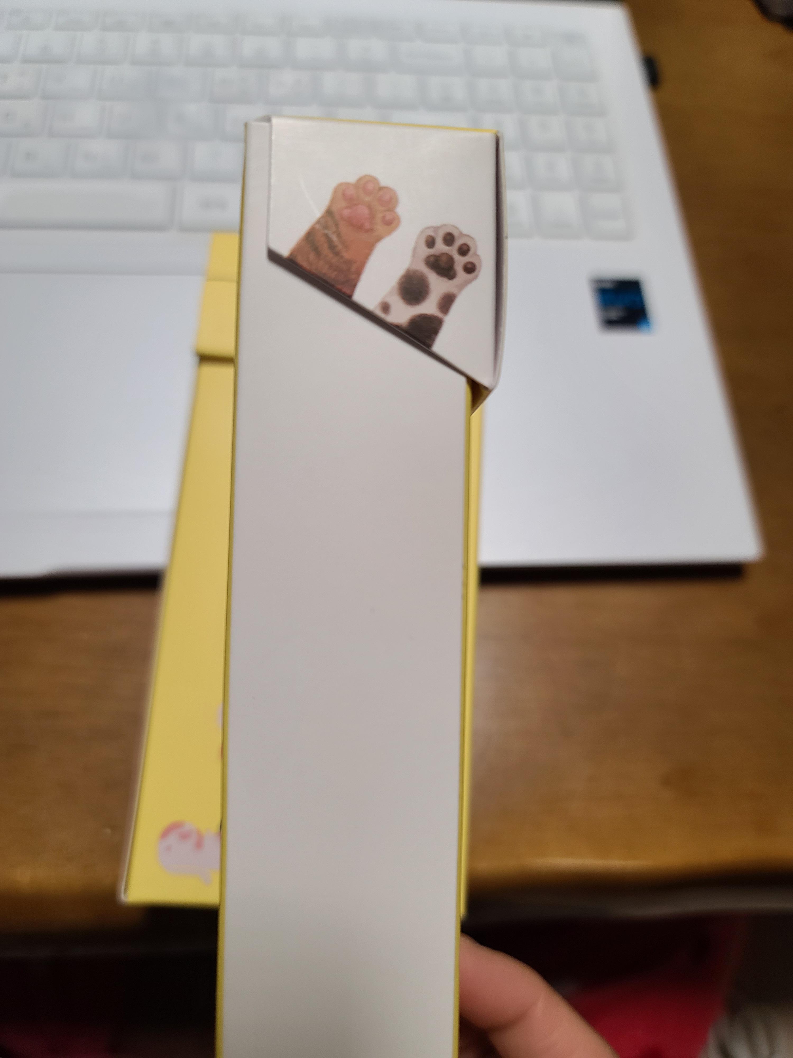 올데이 밸런스 프렌냥 먹방! 기호성 좋은 고양이 영양간식!