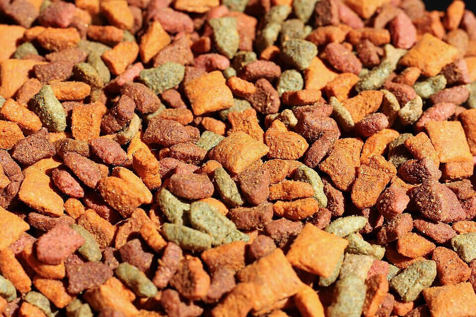 강아지 영양제 구매가이드