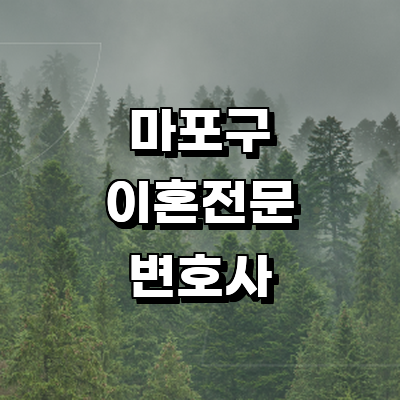 서울 마포구 이혼 변호사