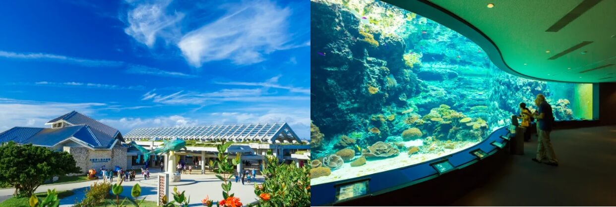 오키나와 여행(출처: 일본관광국)