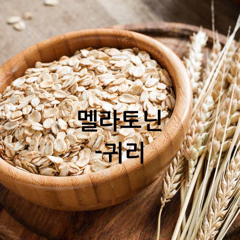 멜라토닌 많은 음식 10가지