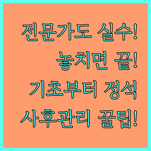 전문가도 놓치는 도배 실수: 벽면 기..