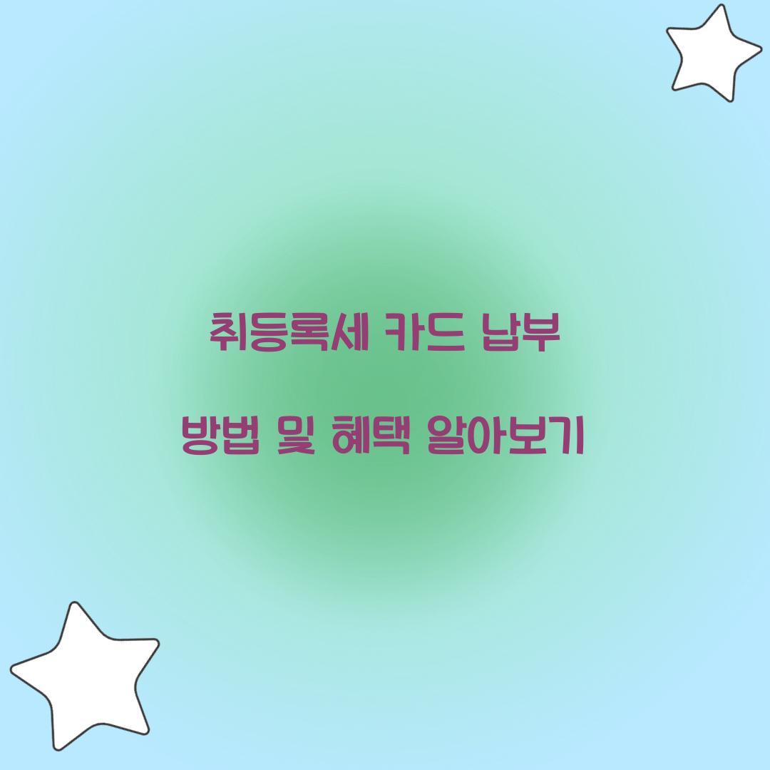 취등록세 카드 납부