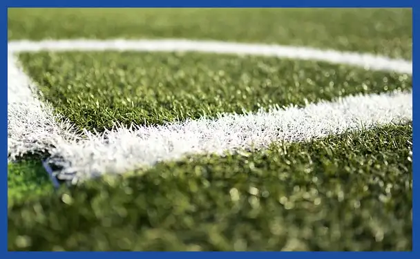 축구 국가대표 감독 연봉 순위: 클린스만, 만치니, 벤투까지 완벽 분석