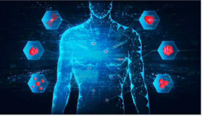 웰릿 이뮨베라 효능 총정리