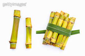 폴리코사놀 효능 부작용 (3주 섭취 후기)