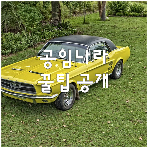 공임나라 200% 활용 꿀팁 공개 정