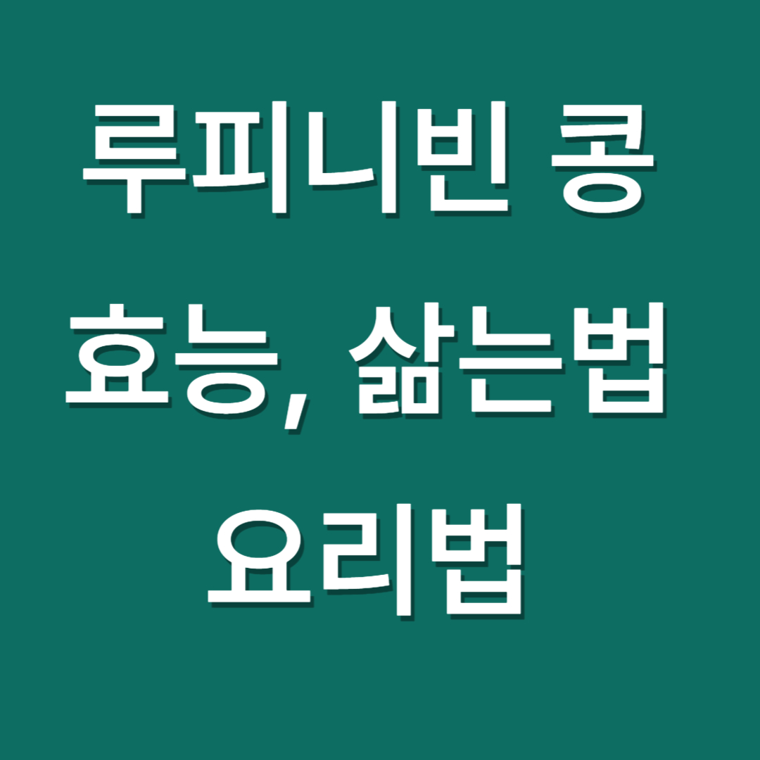 루피니빈 콩 효능