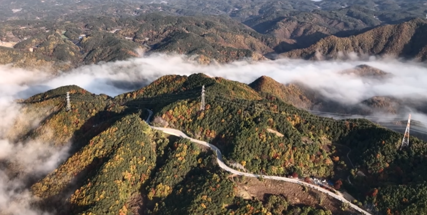 2023년 단풍시기