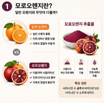 모로오렌지-추출물-효능-효과-내돈내산-추천-제품