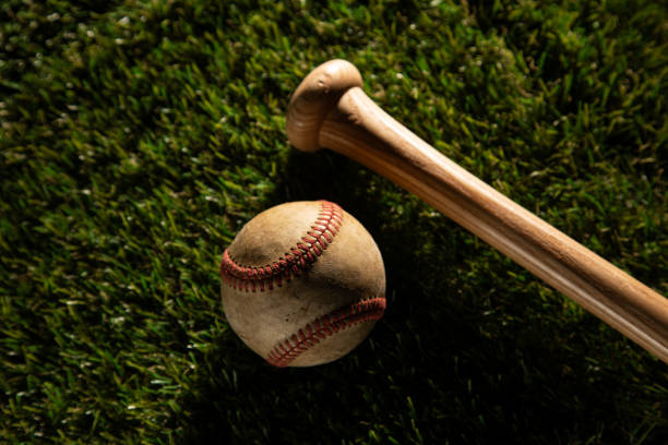 야구 관련 이미지