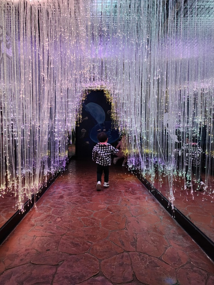 반짝거리는 길을 걸어가는 아이