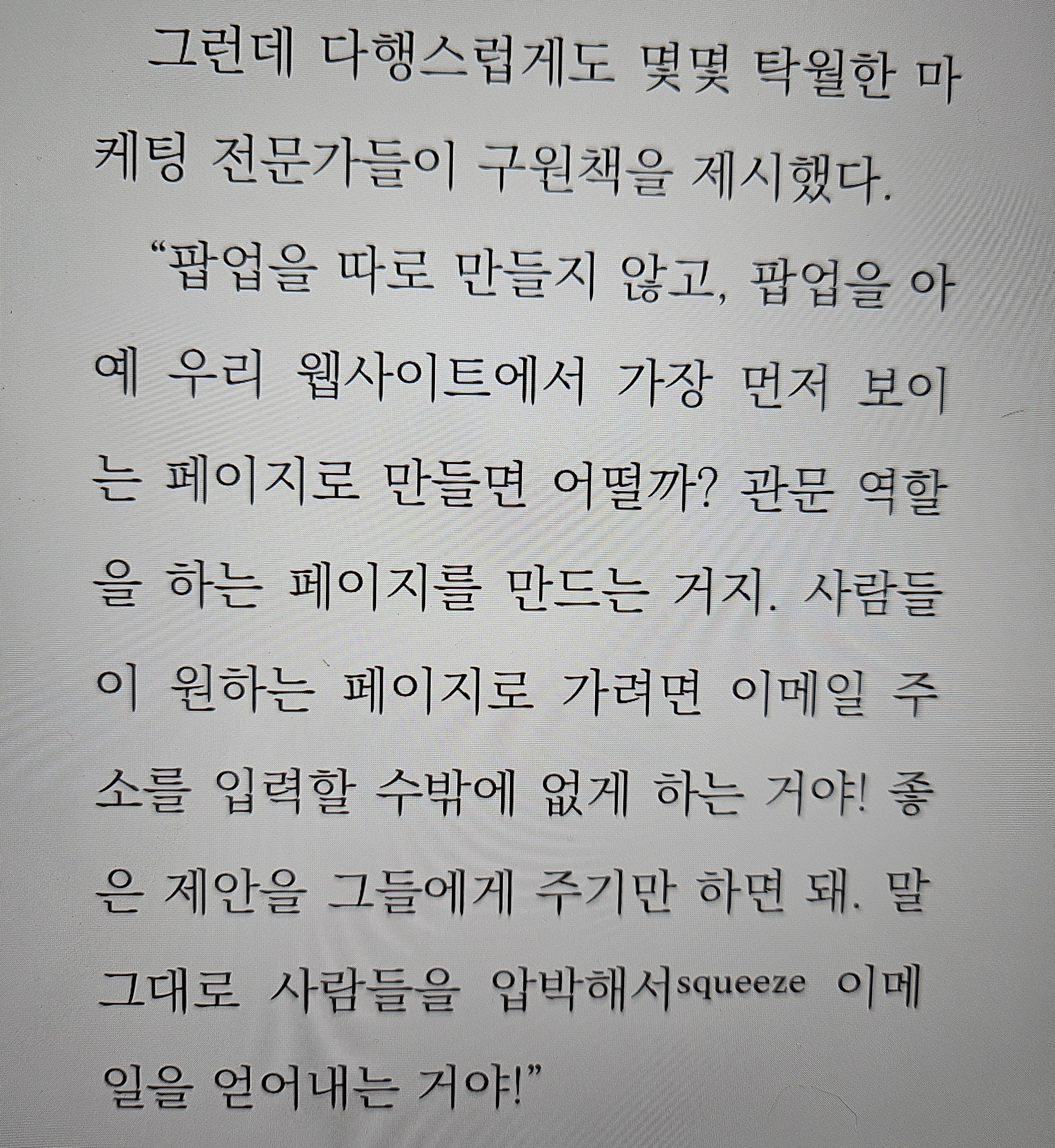 웹사이트관문역할의 팝업