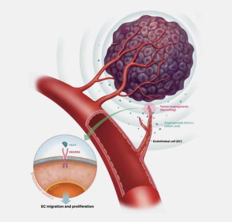 HLB-주가-전망-기업분석-알아보기