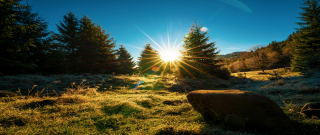 청년 내일저축계좌 자격조건