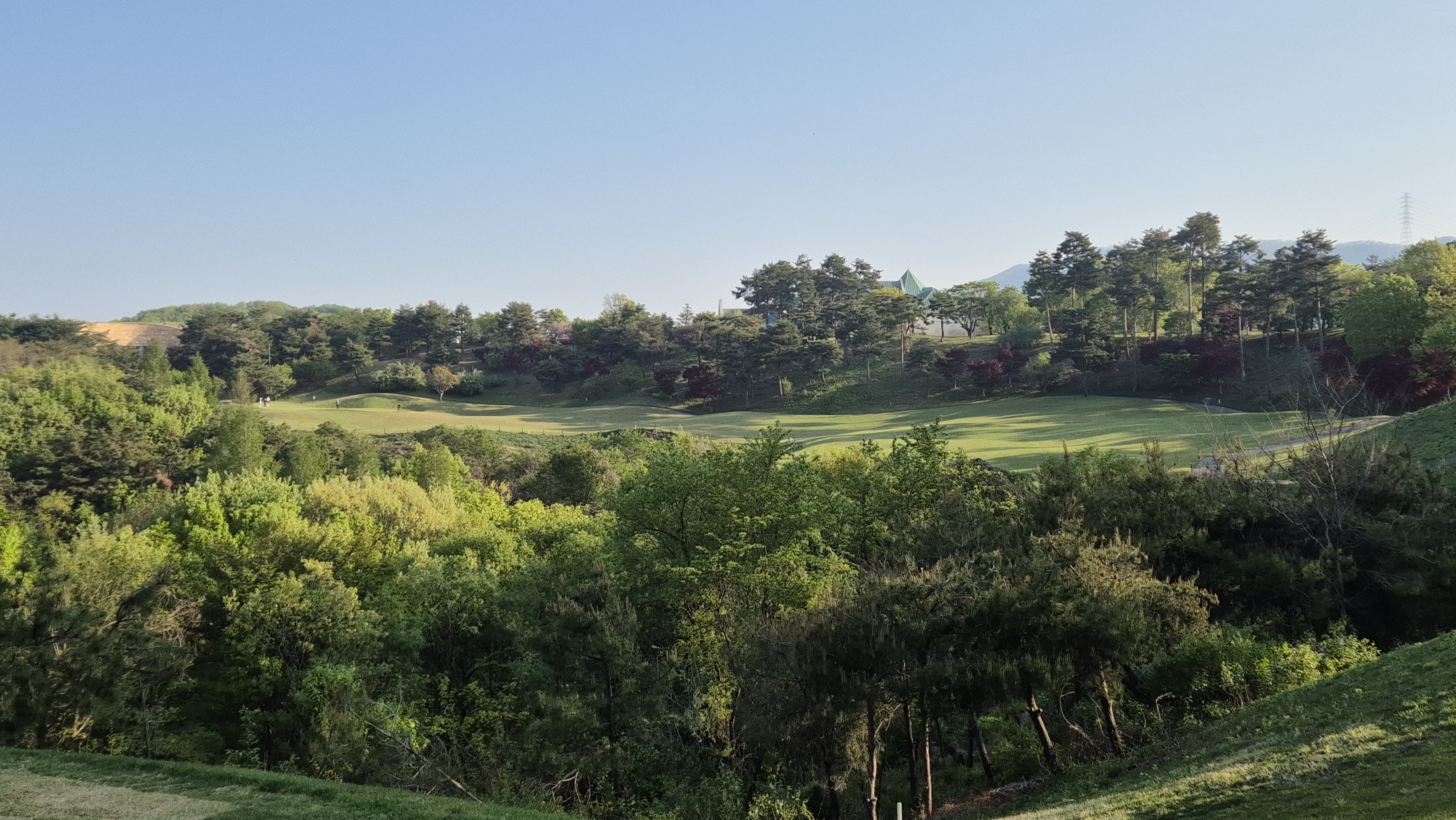 마에스트로cc 코스