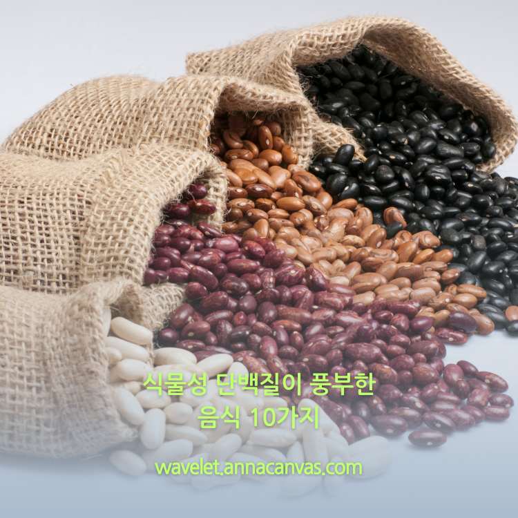 <img src="식물성-단백질이-풍부한-음식-10가지.jpg" alt="여러가지-종류의-콩">