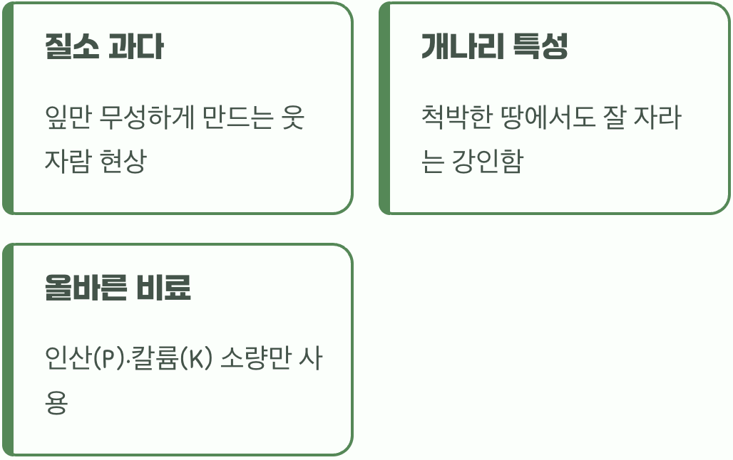 잎만 무성하게 만드는 과도한 영양