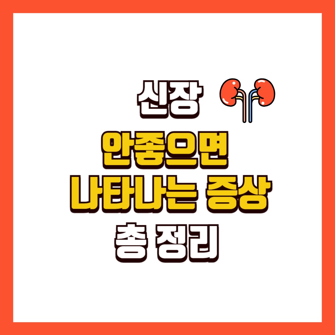 신장이 안좋으면 나타나는 증상 총정리