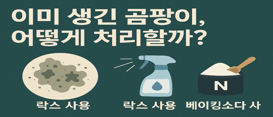 이미 생긴 곰팡이, 어떻게 처리할까?