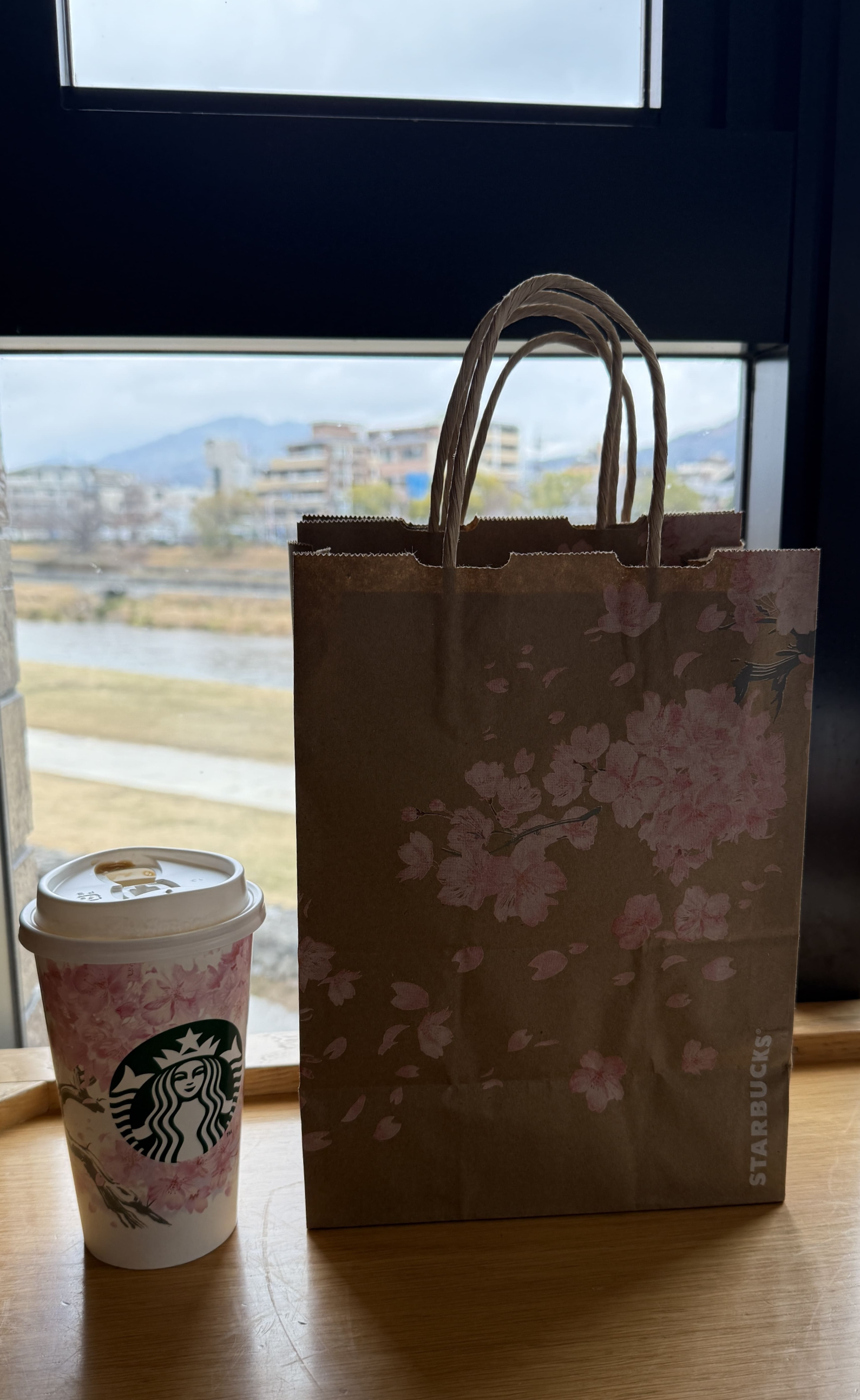 교토 봄여행 일본 스타벅스