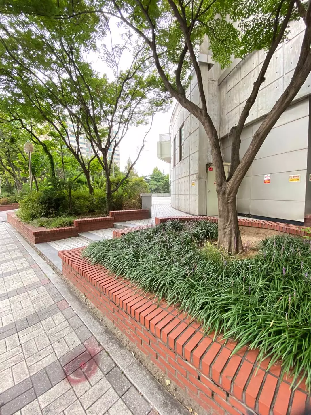 여권 갱신 준비물 여권사진 싼곳 여권 발급 후기