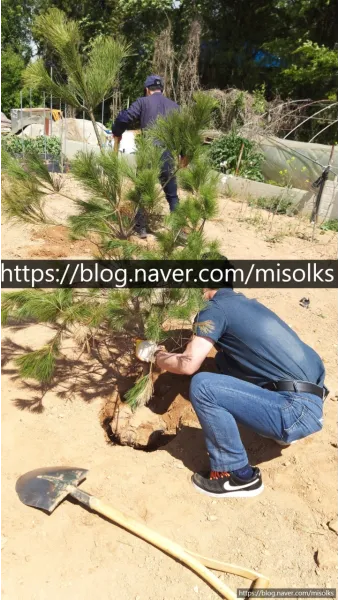 조경기능사 시험일정 기출문제 응시자격 완벽 합격 가이드_25