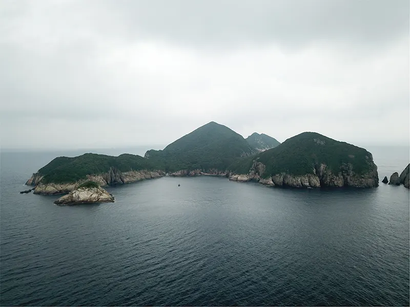 대삼부도