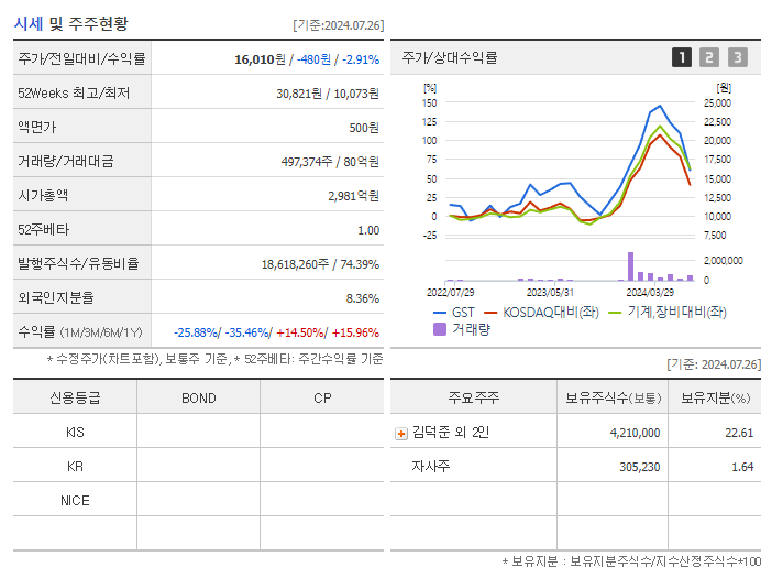 GST_기업개요