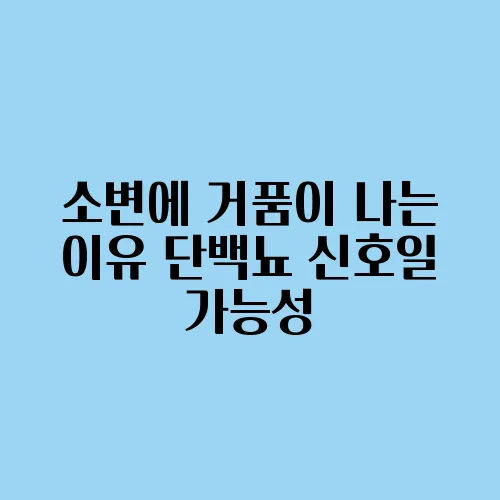 소변에 거품이 나는 이유 단백뇨 신호일 가능성