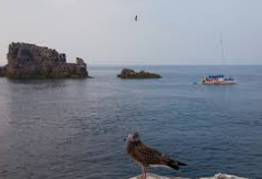 태안해안 국립공원 실시간 cctv