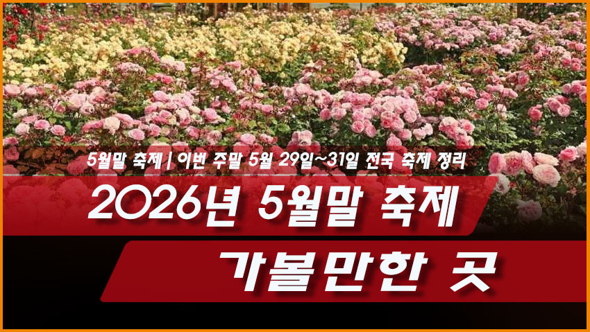 2026년 5월말 축제 가볼만한 곳｜이번 주말 5월 29일~31일 전국 축제 정리