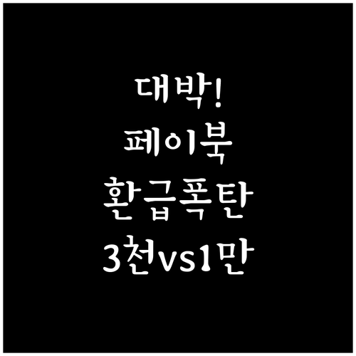 페이북 출국납부금 환급 성인 3천원 ..