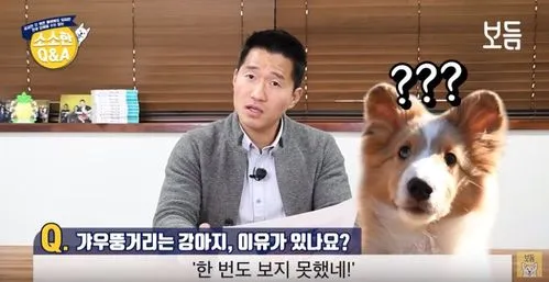 강아지 고개 갸우뚱 이유 의미 뜻_1