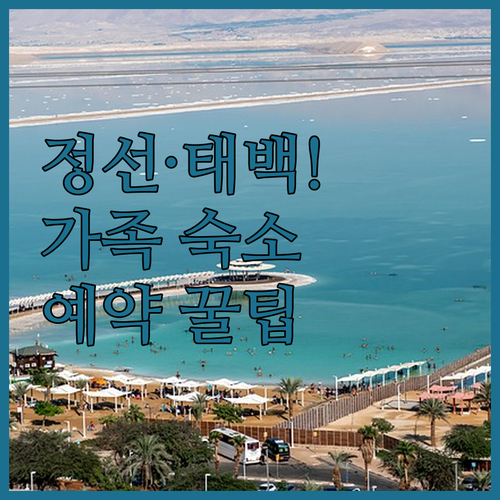 가족 여행에 딱 좋은 강원도 정선 태..