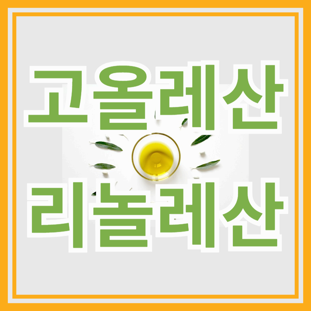 고올레산 기름으로 생활화 건강을 챙기자!
