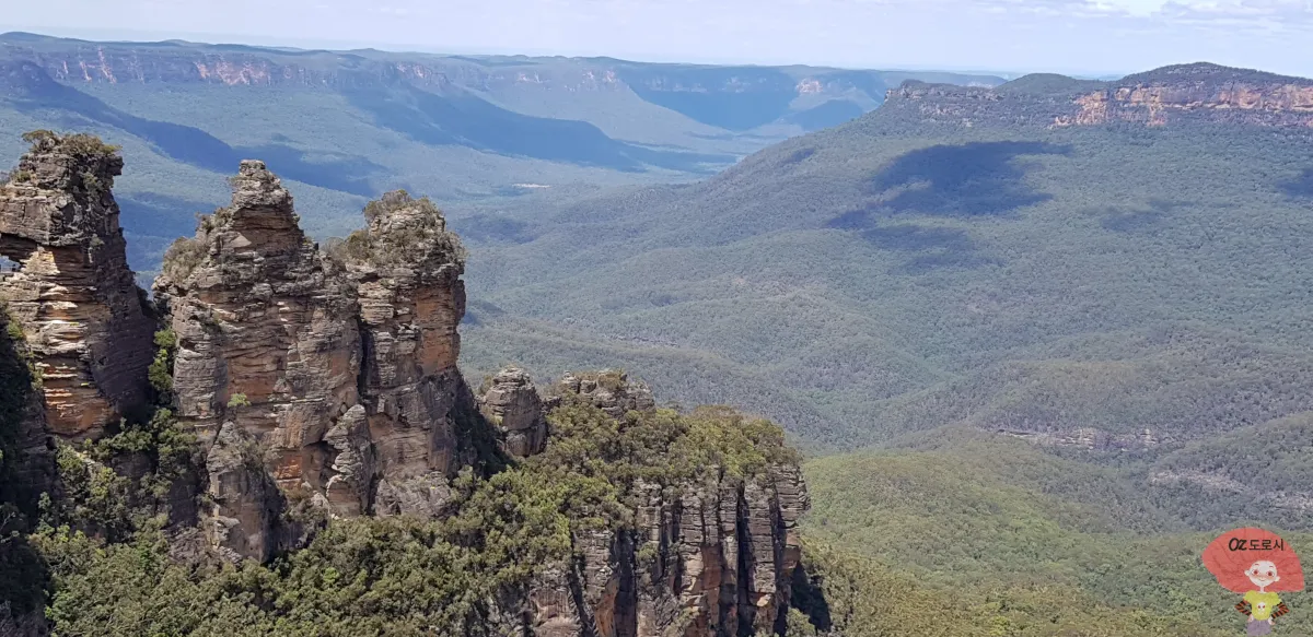 호주-시드니-근교여행-블루마운틴-국립공원-에코포인트-전망대에서-한컷-세자매봉