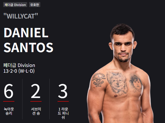 UFC 320
