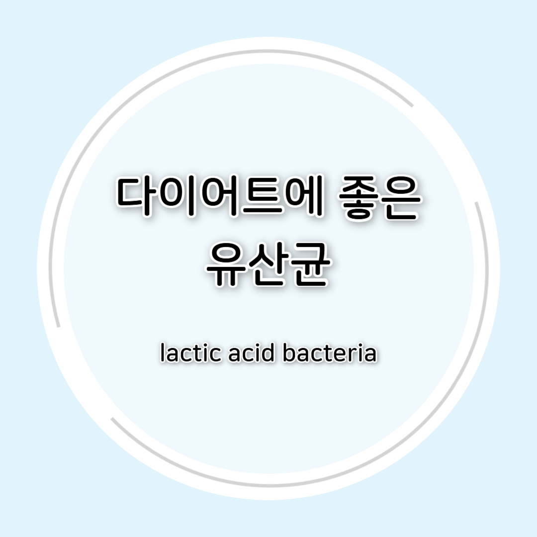 다이어트에 좋은 유산균 총정리