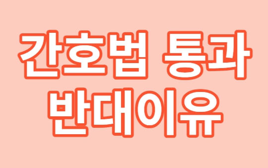 간호법 통과와 반대이유