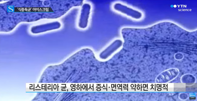 식중독균 아이스크림