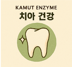 카무트 효소 효능