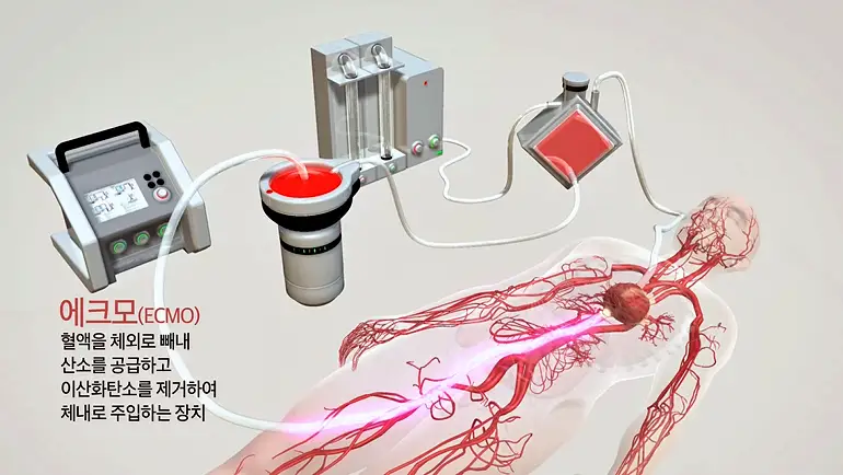 KBS 생로병사의 비밀 826회 재유행 오미크론 코로나 연대기 1부 삶과 죽음을 가르는 순간 모든 것
